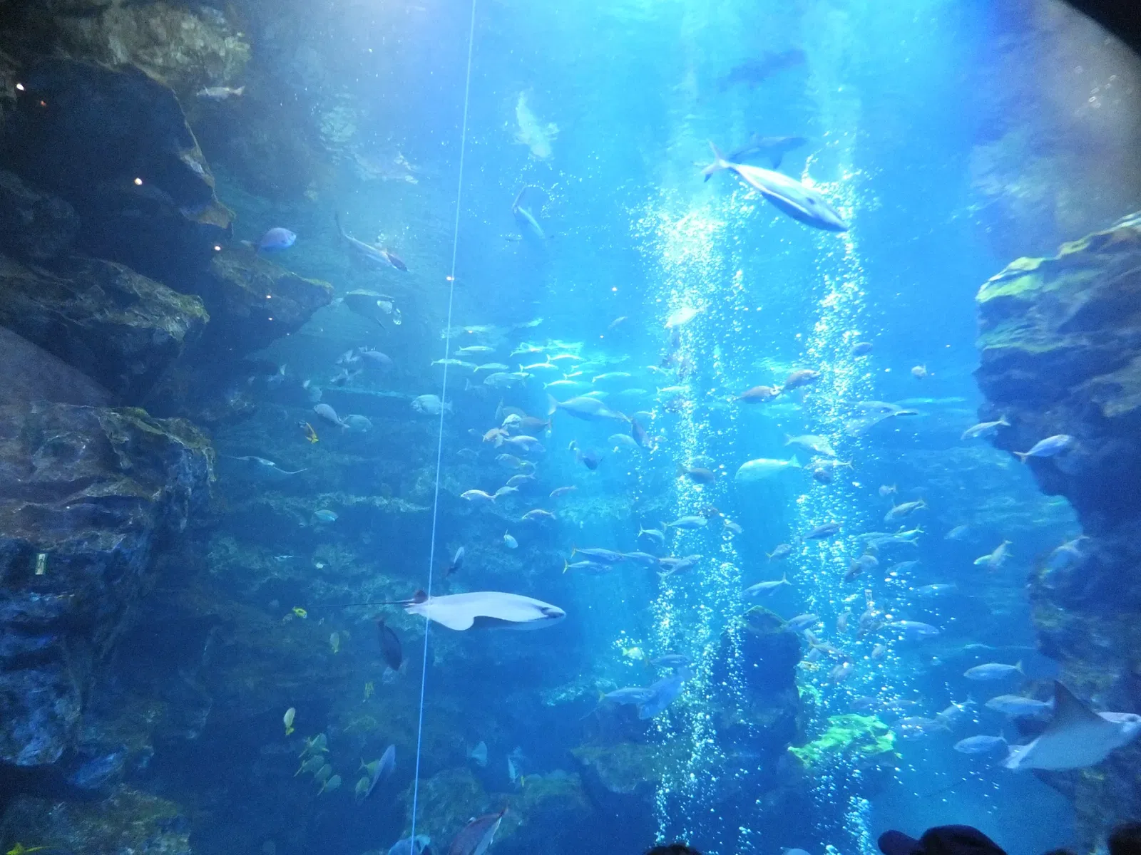 Kyoto Aquarium