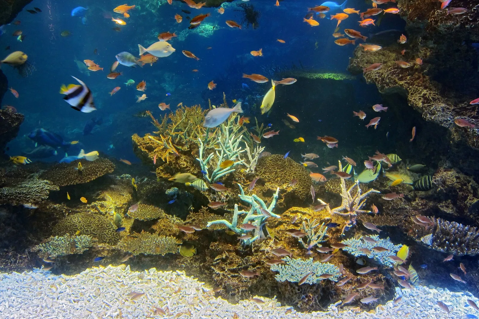 Kyoto Aquarium