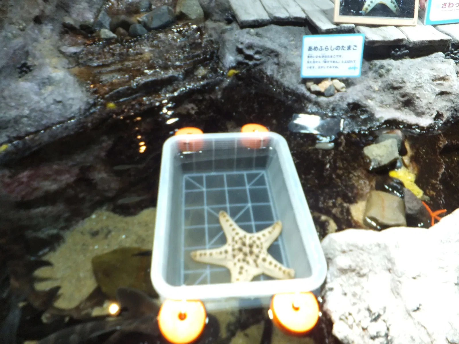 Kyoto Aquarium