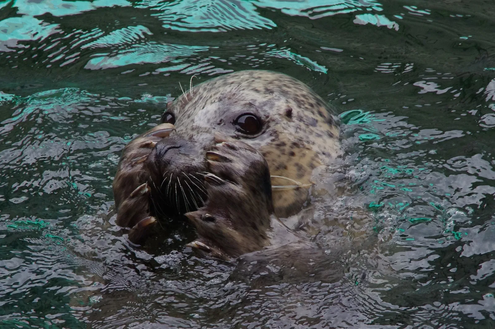 Kyoto Aquarium