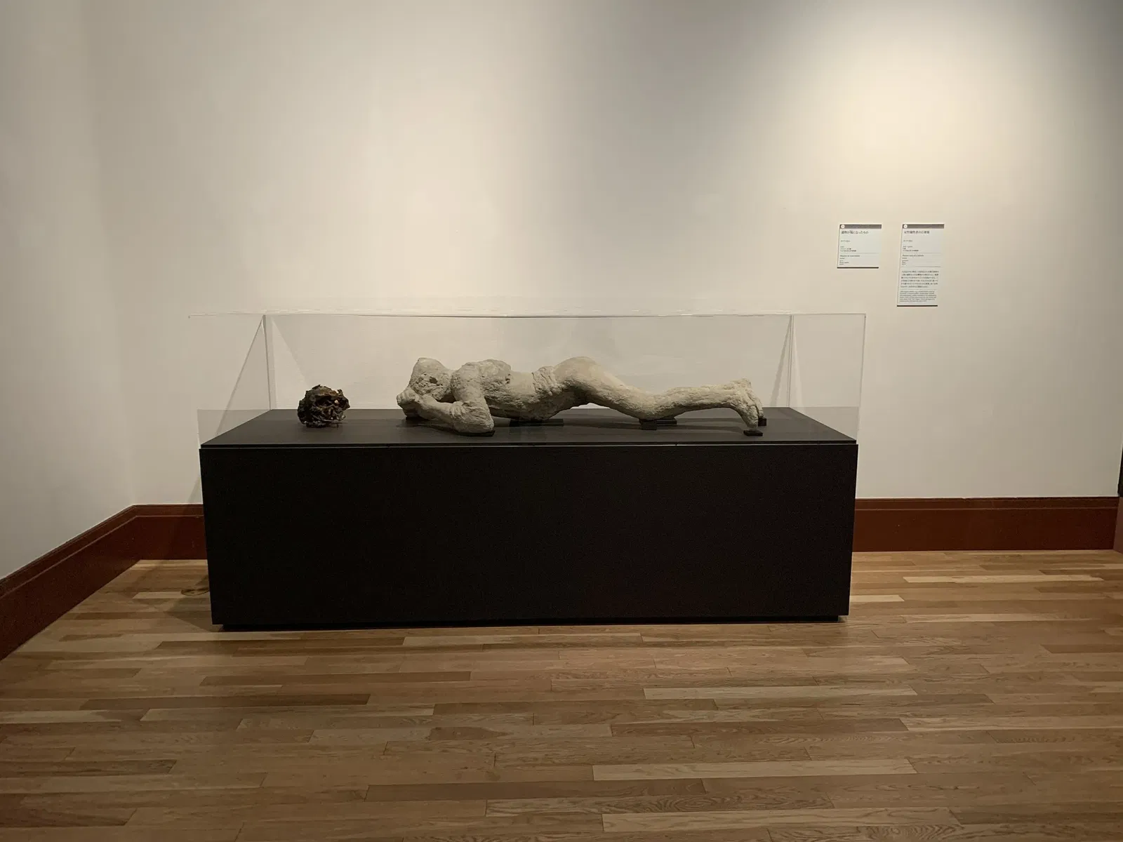 Kyoto City KYOCERA Museum of Art