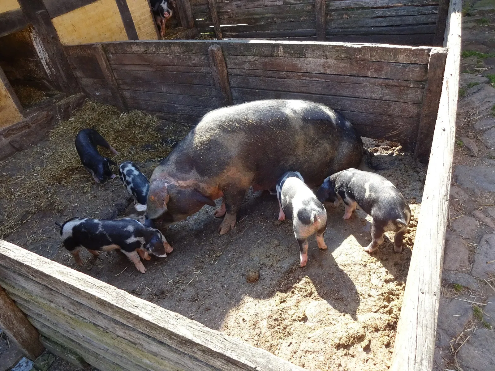 Bornholm's Farming Museum