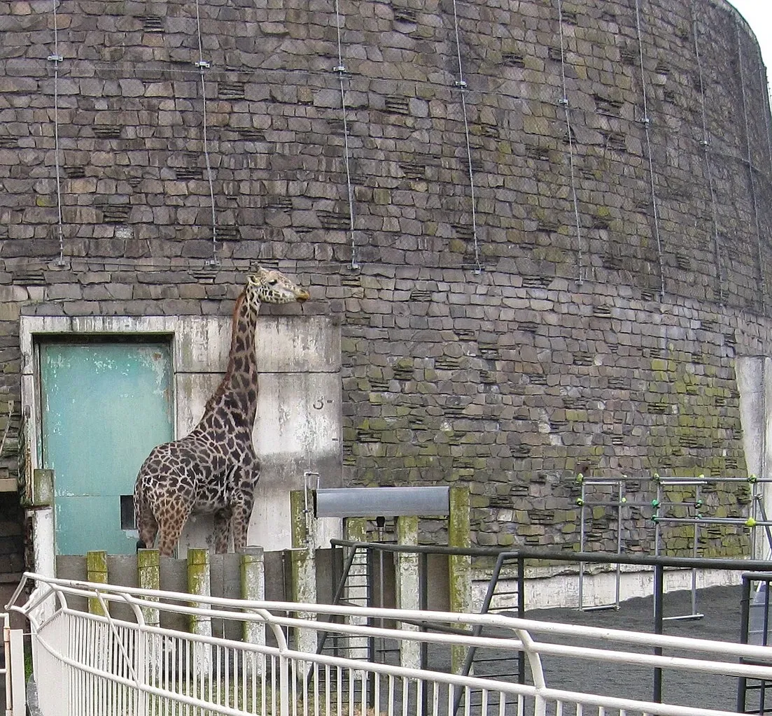 Maruyama zoo