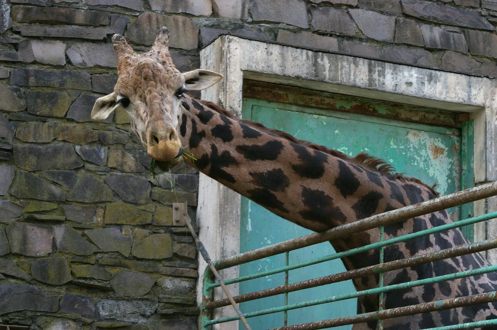 Maruyama zoo