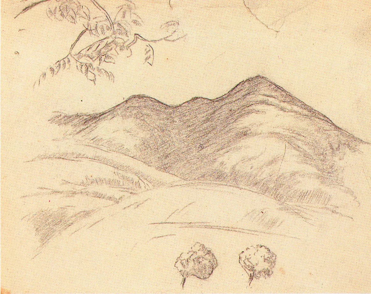 Hokkaido Museum of Modern Art