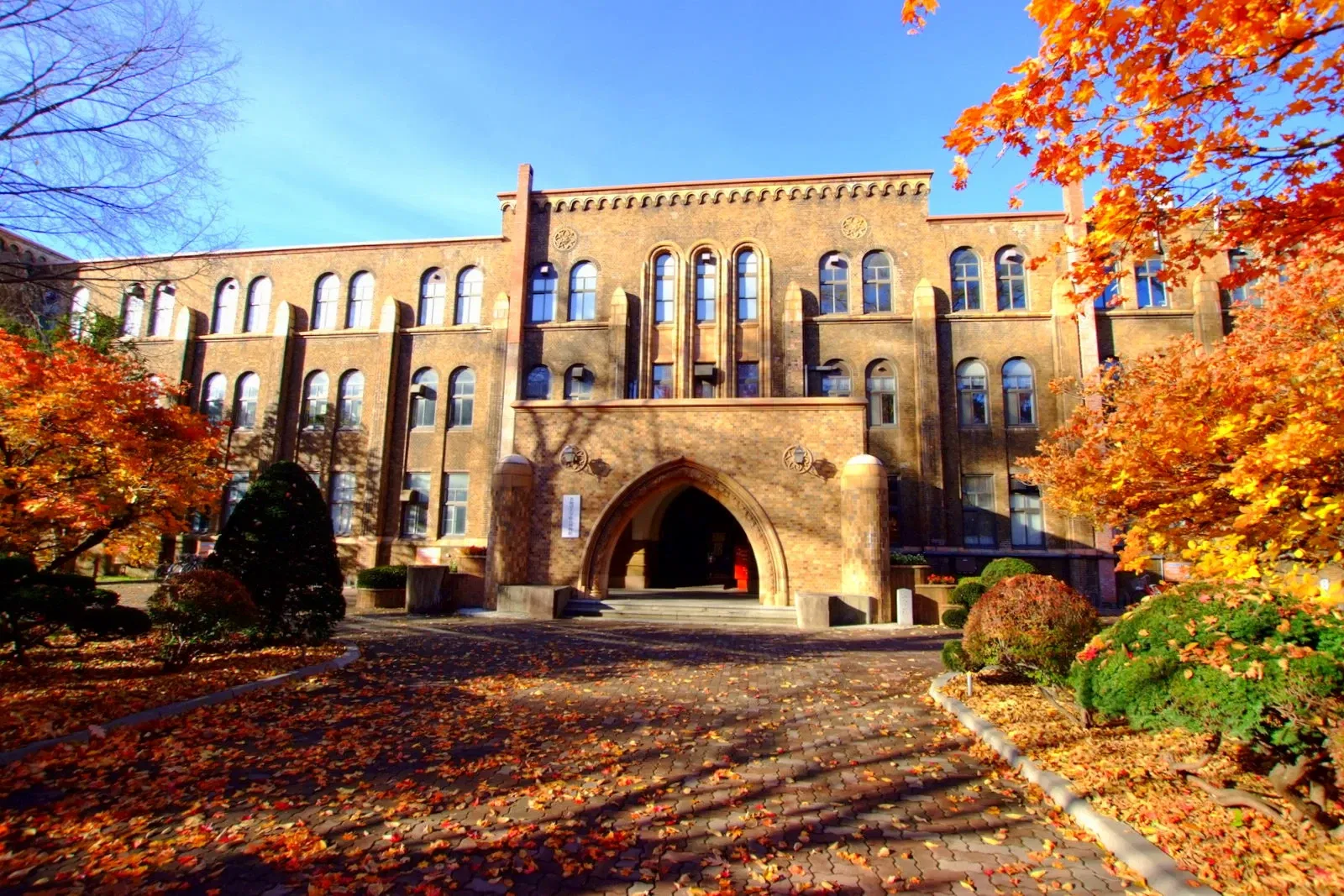Hokkaido University Museum