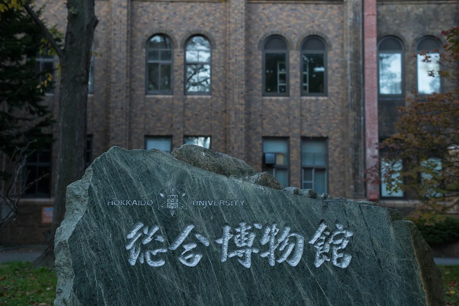 Hokkaido University Museum