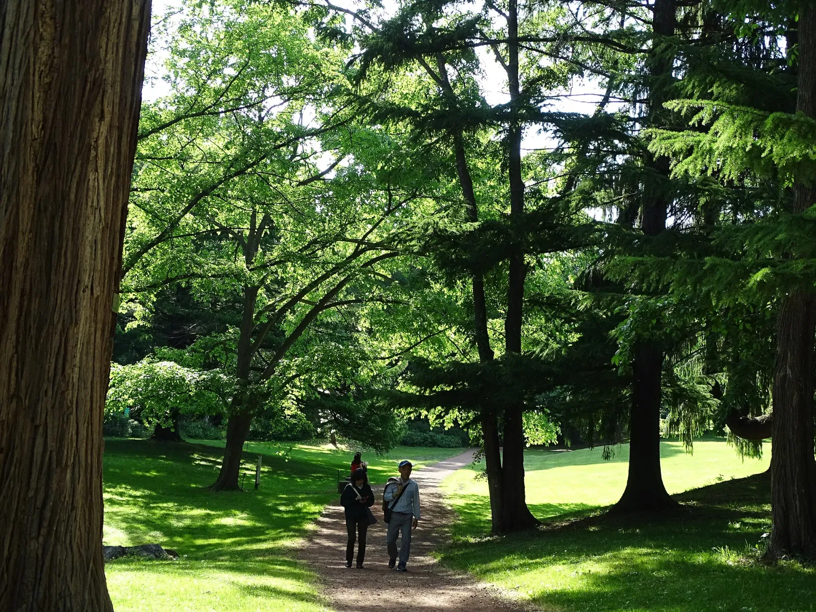 Hokkaido University Botanical Garden