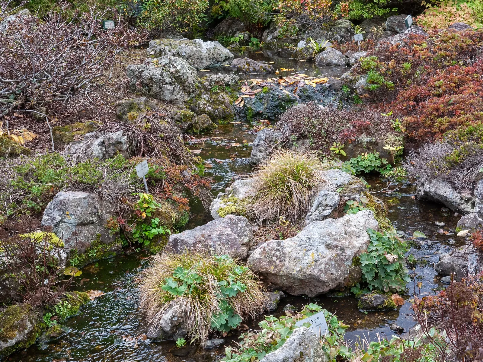 Hokkaido University Botanical Garden