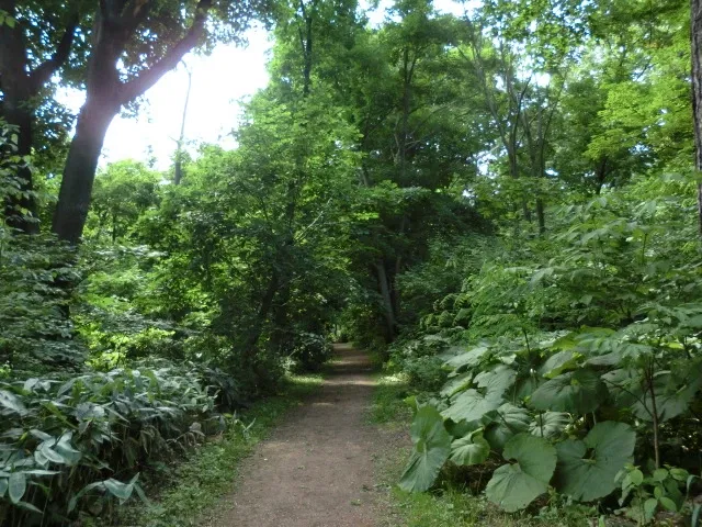 Hokkaido University Botanical Garden