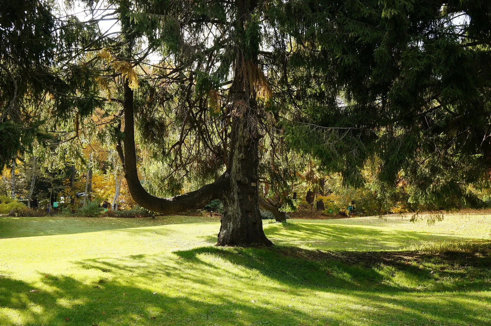 Hokkaido University Botanical Garden