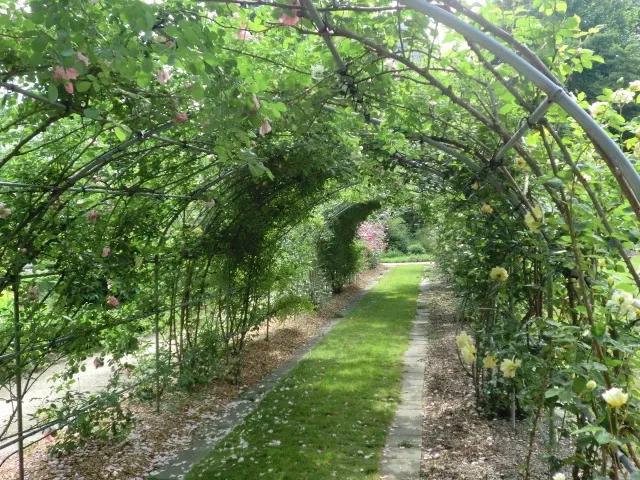 Hokkaido University Botanical Garden