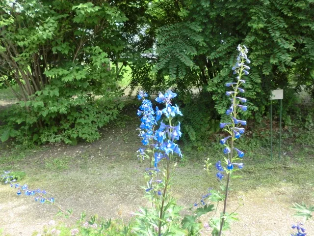 Hokkaido University Botanical Garden