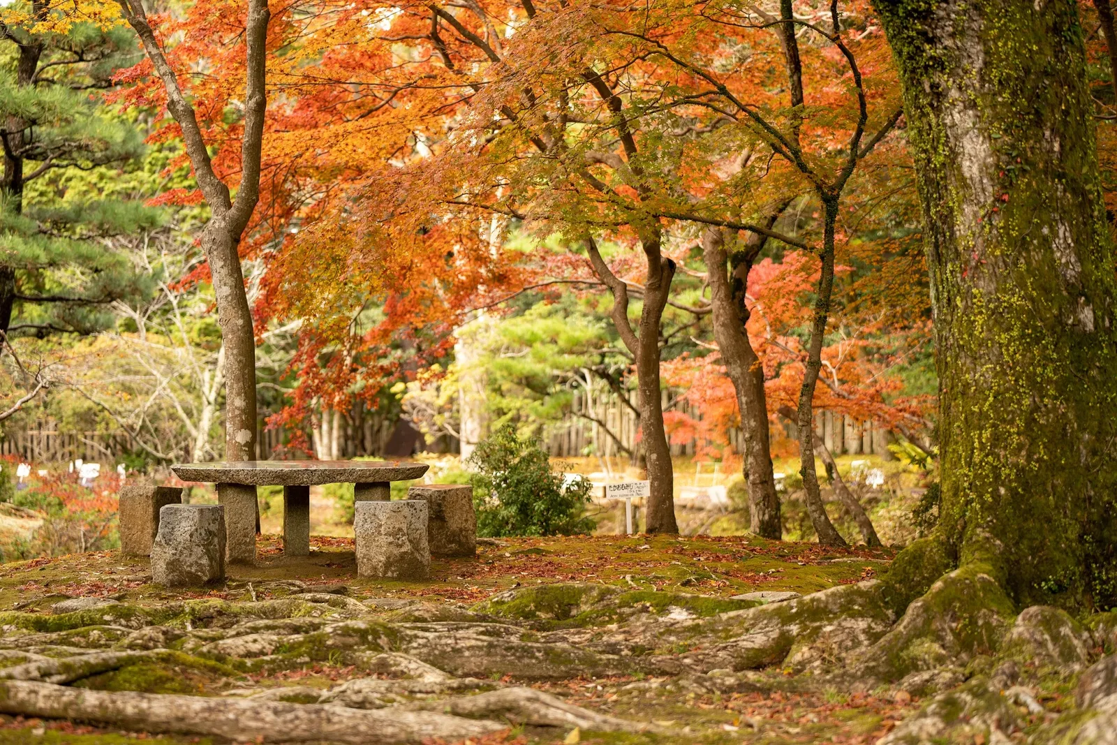 Manyo Botanical Garden