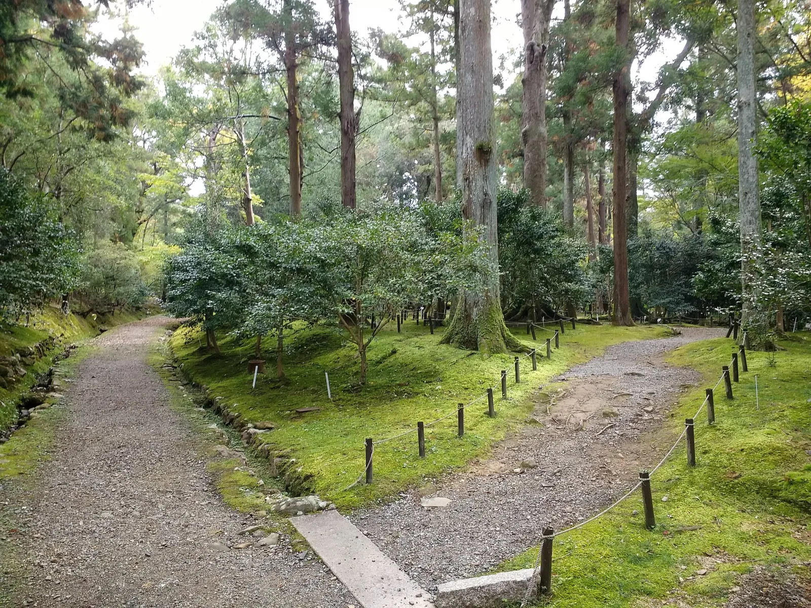 Manyo Botanical Garden