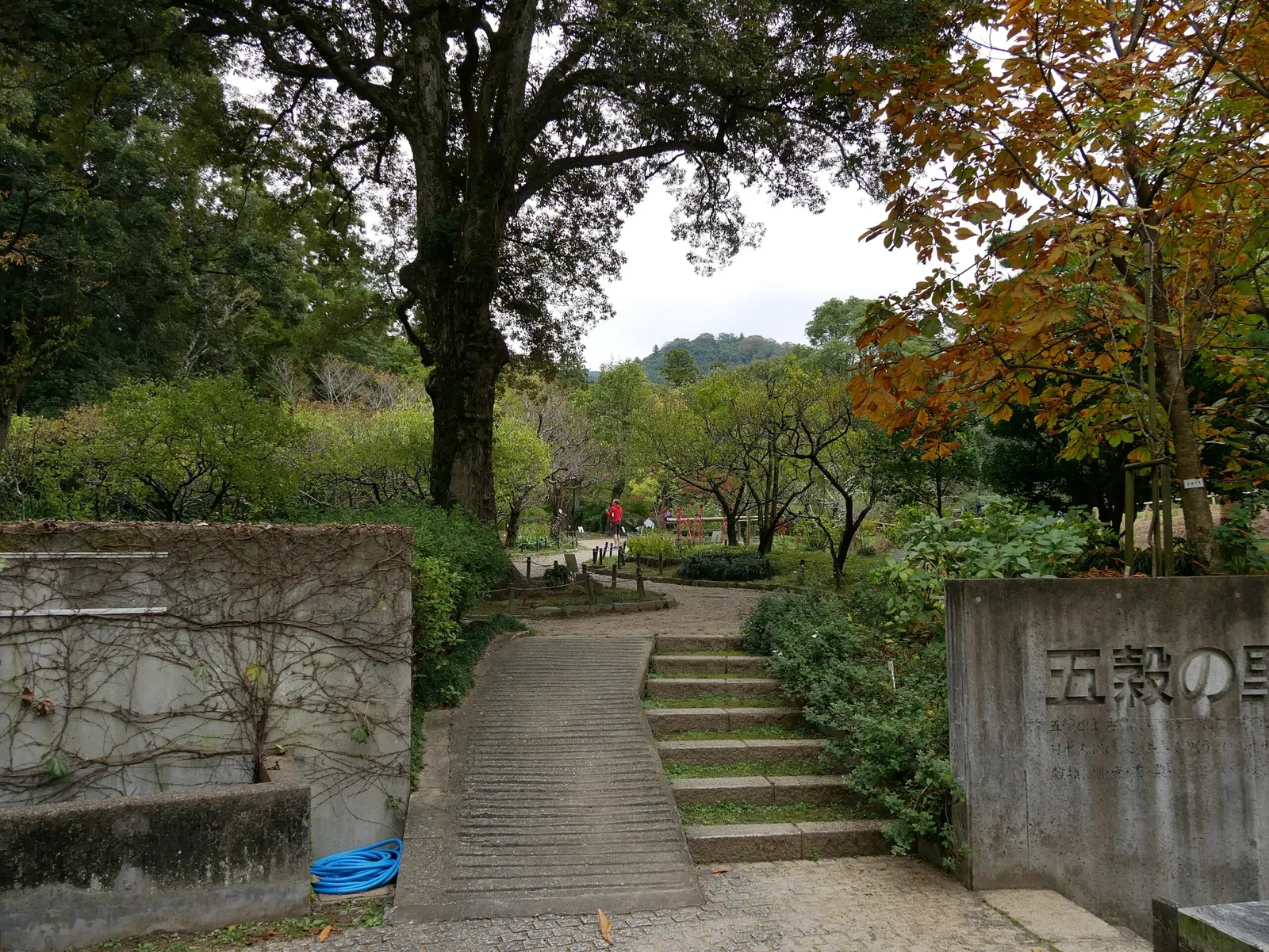 Manyo Botanical Garden