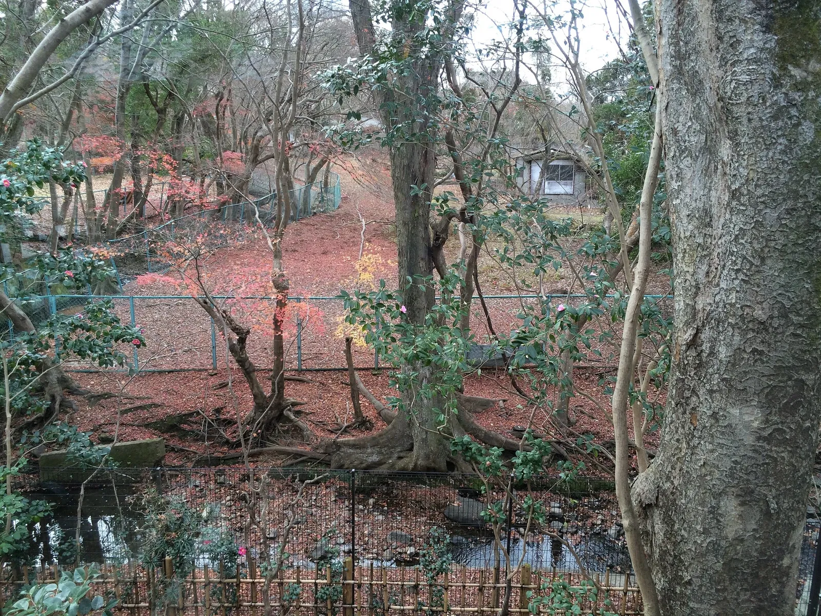 Irie Taikichi Historic Residence Museum