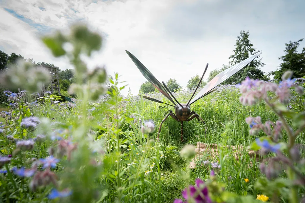 Grote Insecten