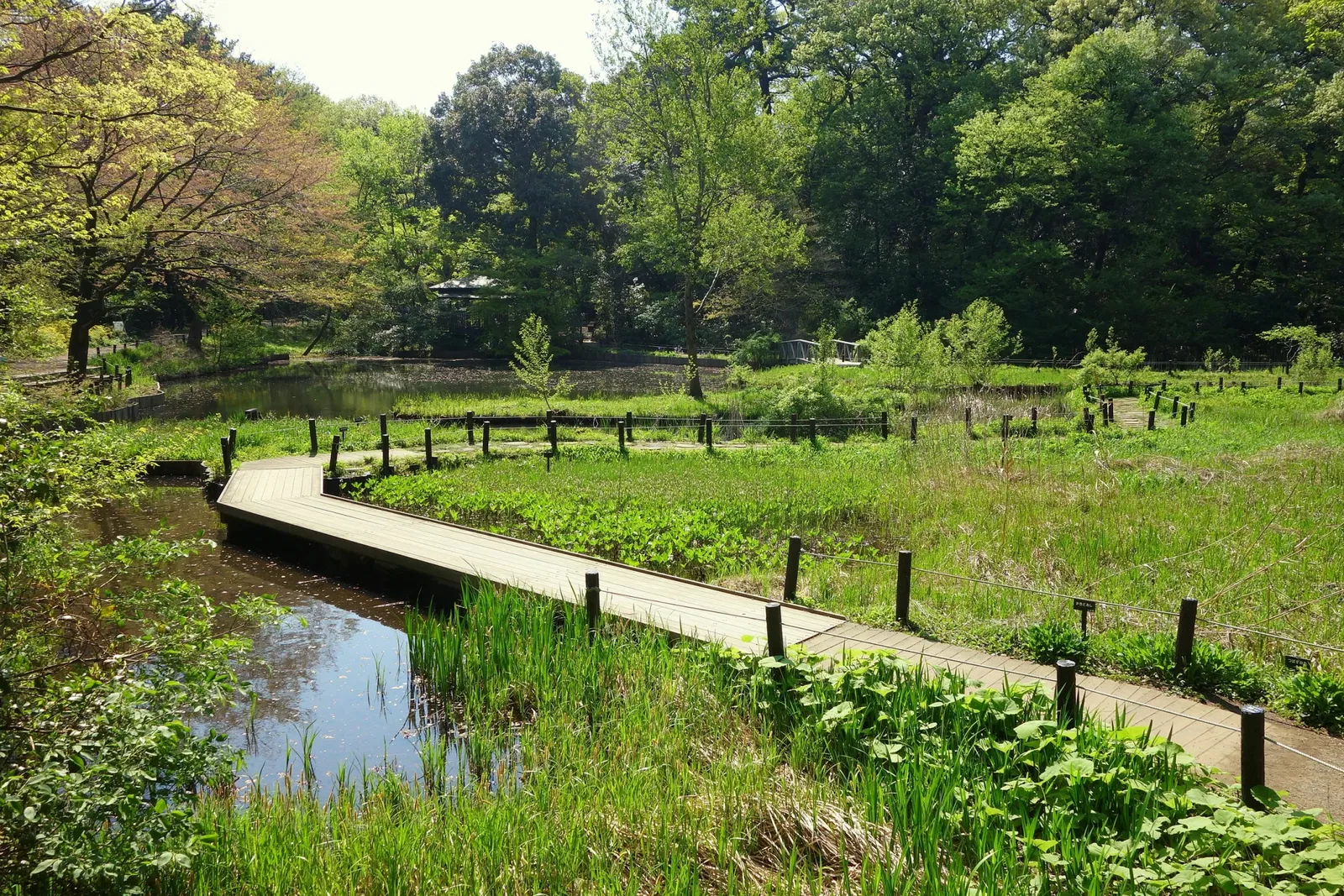 Institute for Nature Study, National Museum of Nature and Science