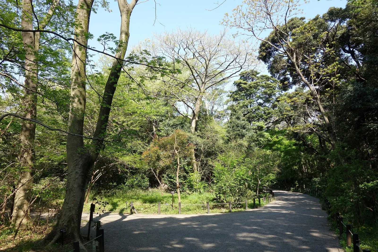 Institute for Nature Study, National Museum of Nature and Science