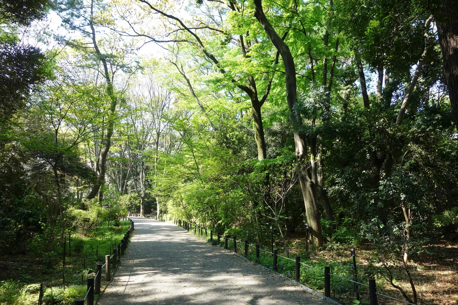 Institute for Nature Study, National Museum of Nature and Science