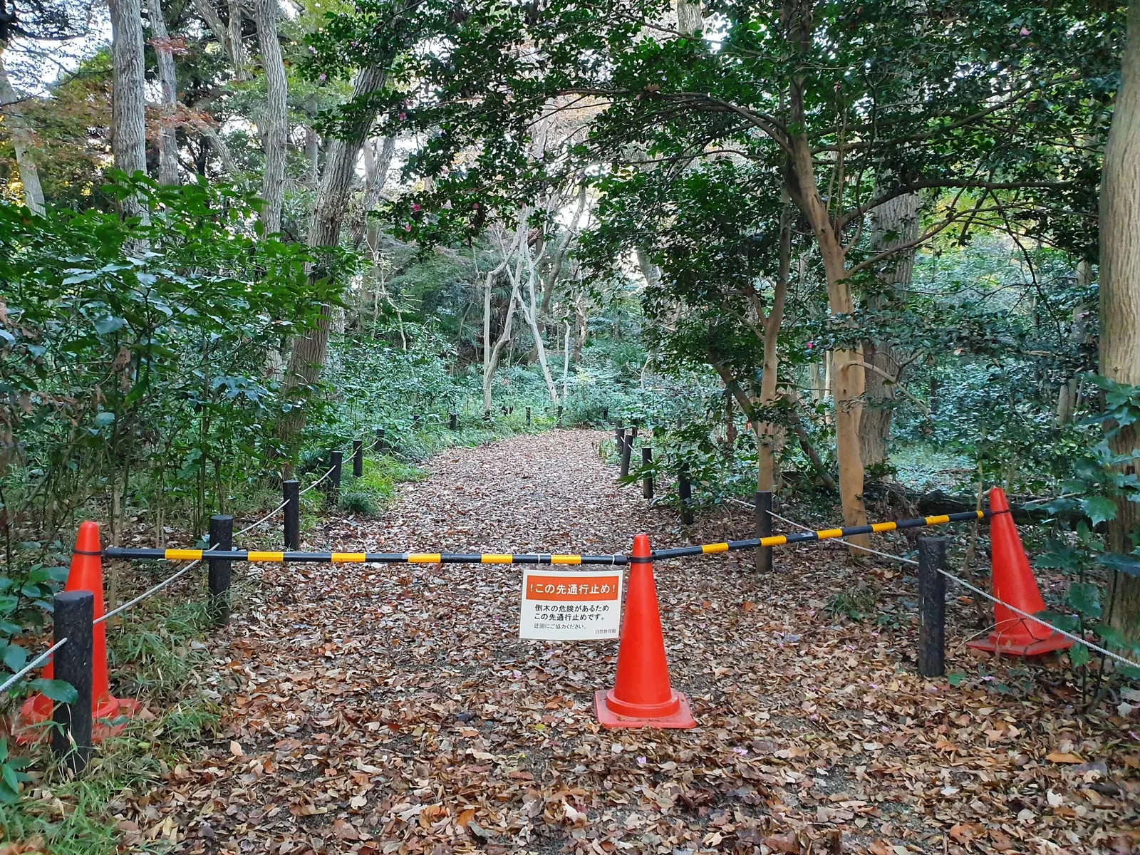 Institute for Nature Study, National Museum of Nature and Science