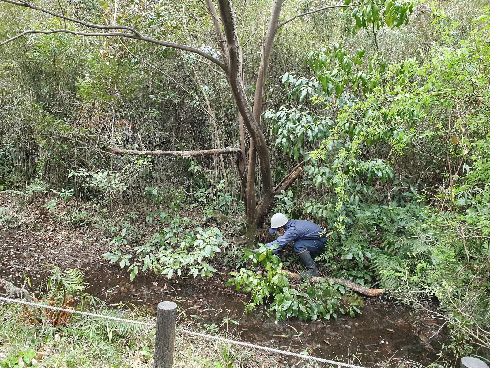 Institute for Nature Study, National Museum of Nature and Science