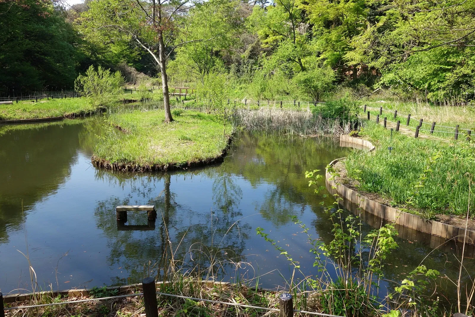 Institute for Nature Study, National Museum of Nature and Science