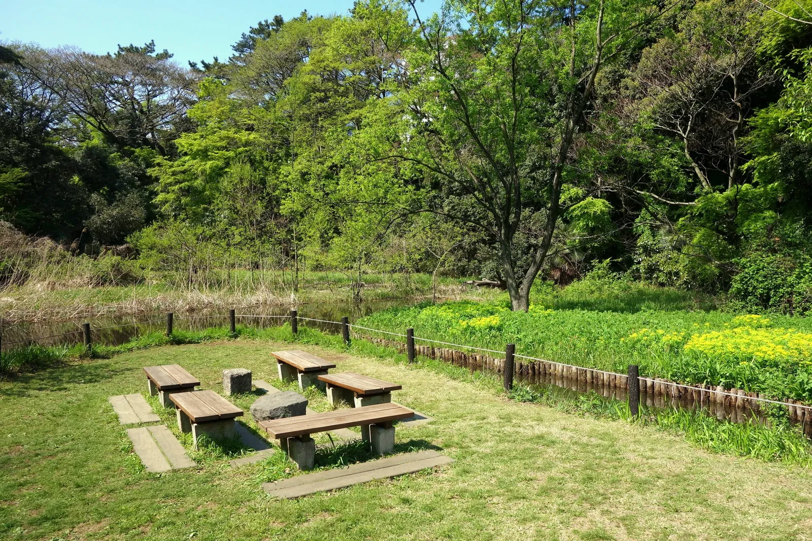 Institute for Nature Study, National Museum of Nature and Science