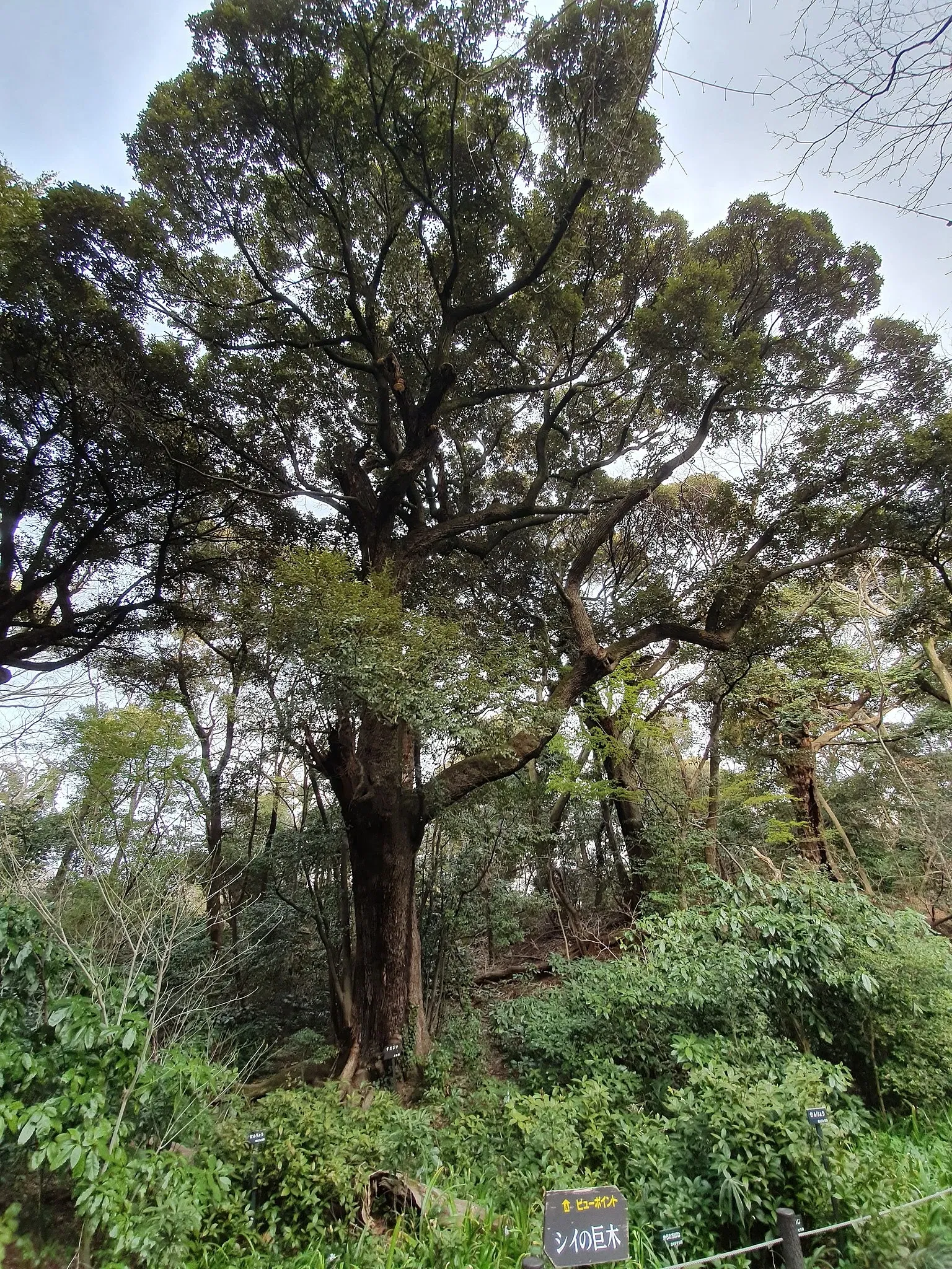 Institute for Nature Study, National Museum of Nature and Science