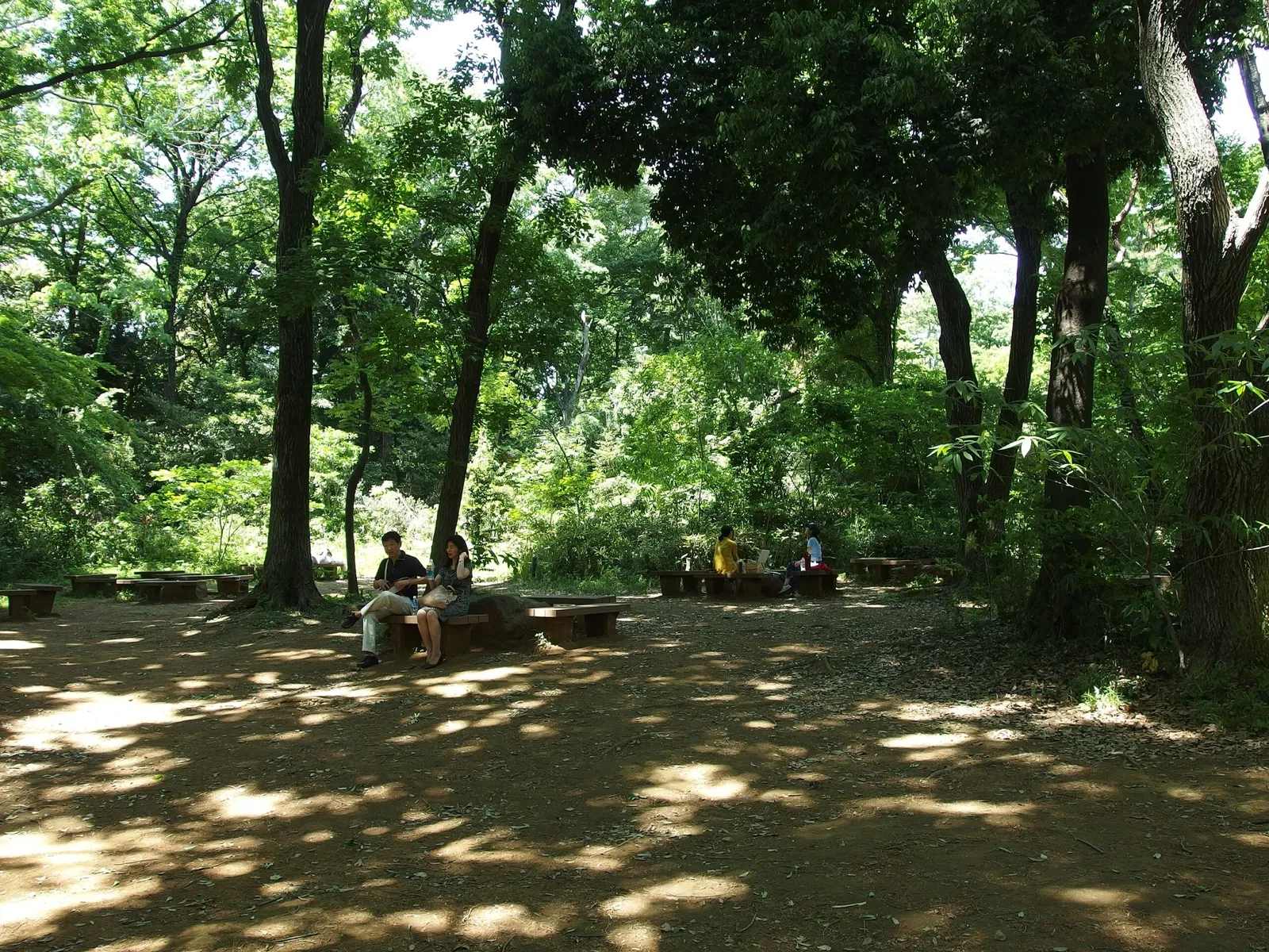 Institute for Nature Study, National Museum of Nature and Science