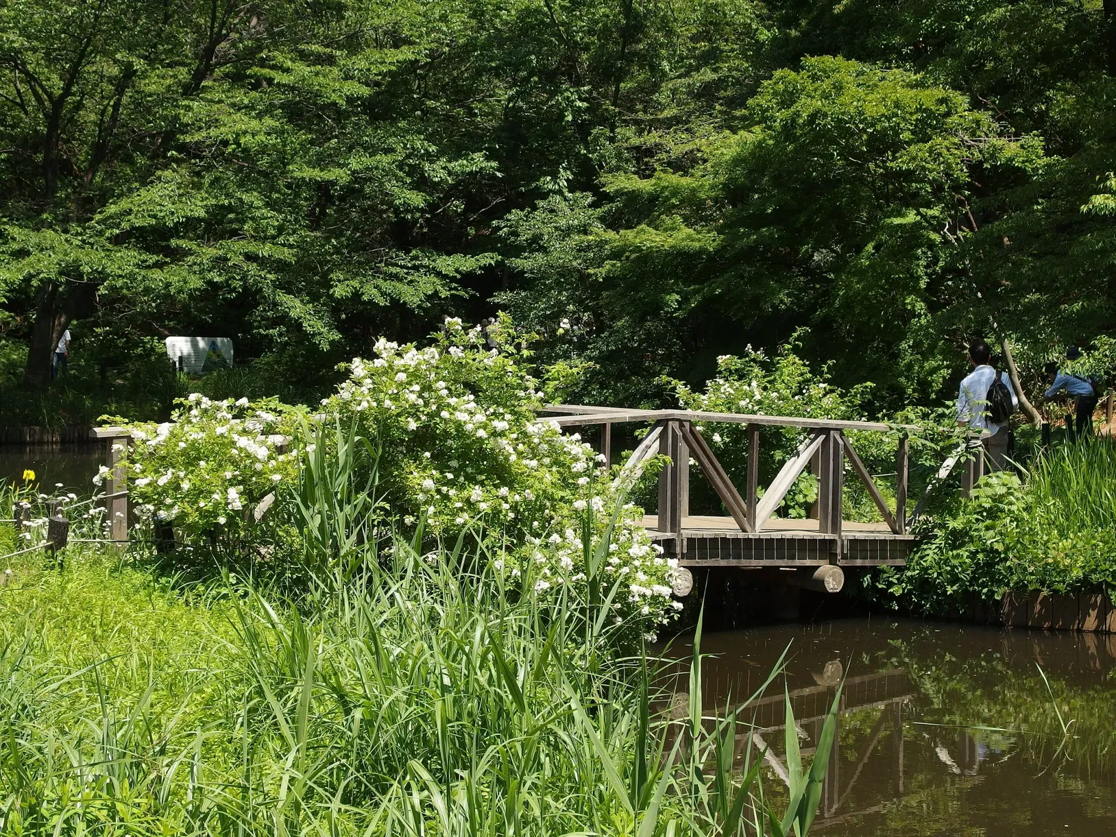 Institute for Nature Study, National Museum of Nature and Science