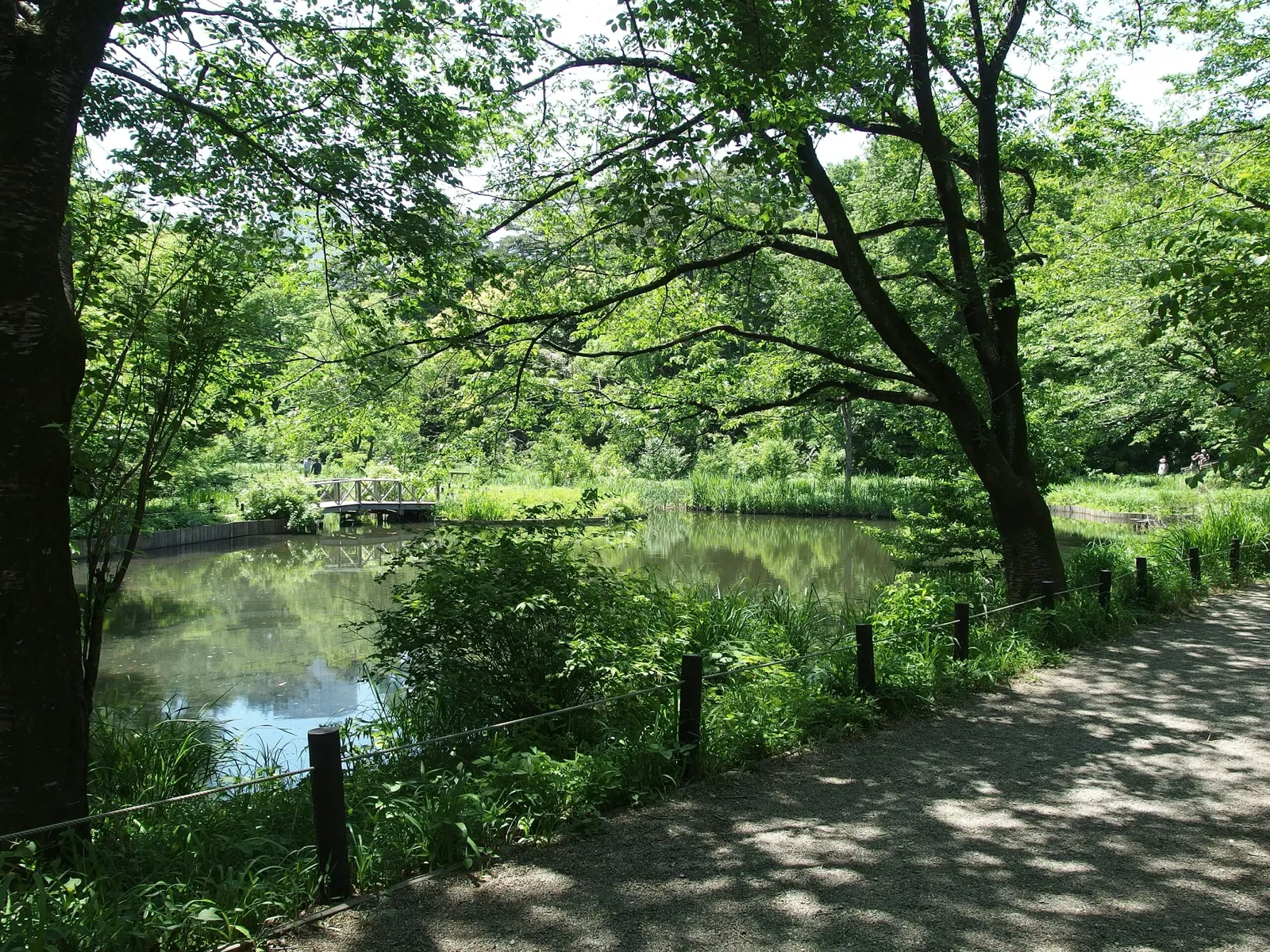 Institute for Nature Study, National Museum of Nature and Science