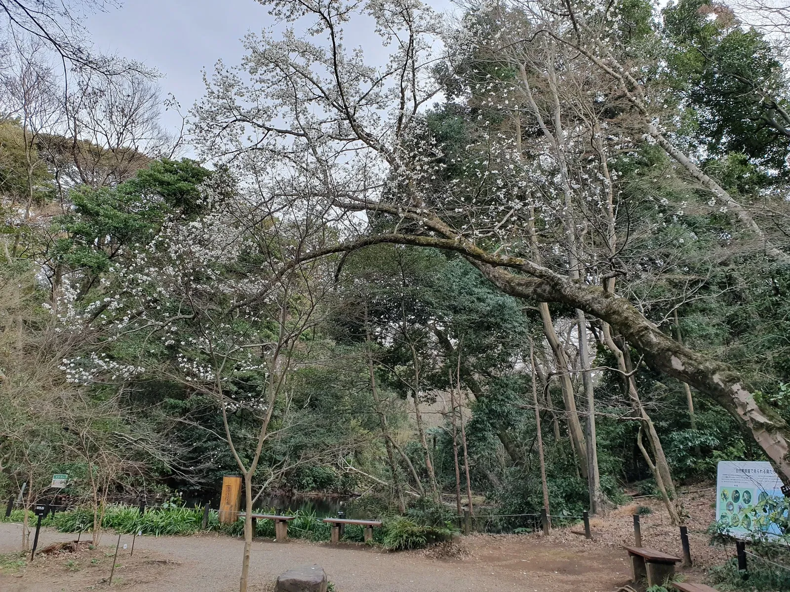 Institute for Nature Study, National Museum of Nature and Science