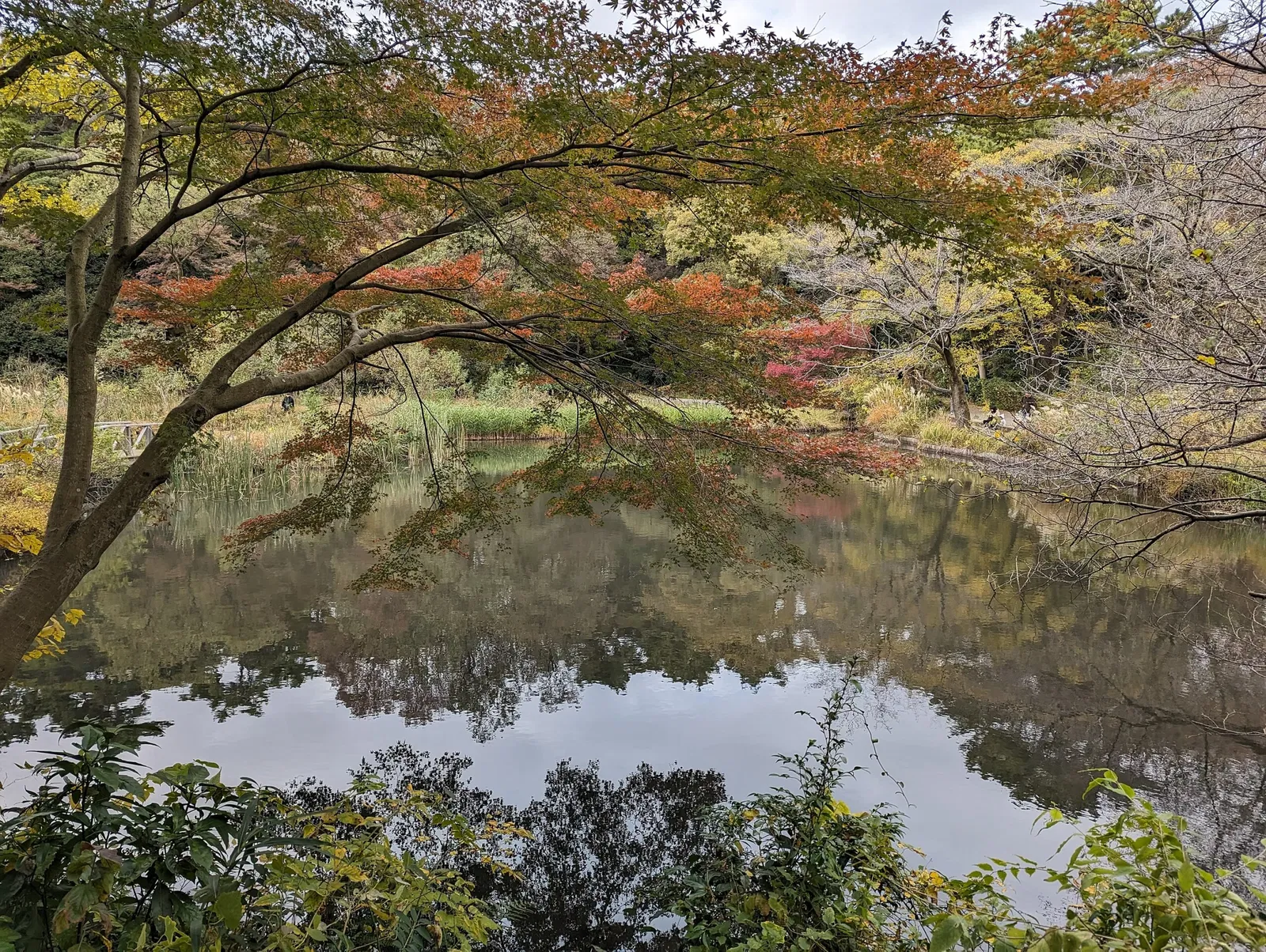 Institute for Nature Study, National Museum of Nature and Science