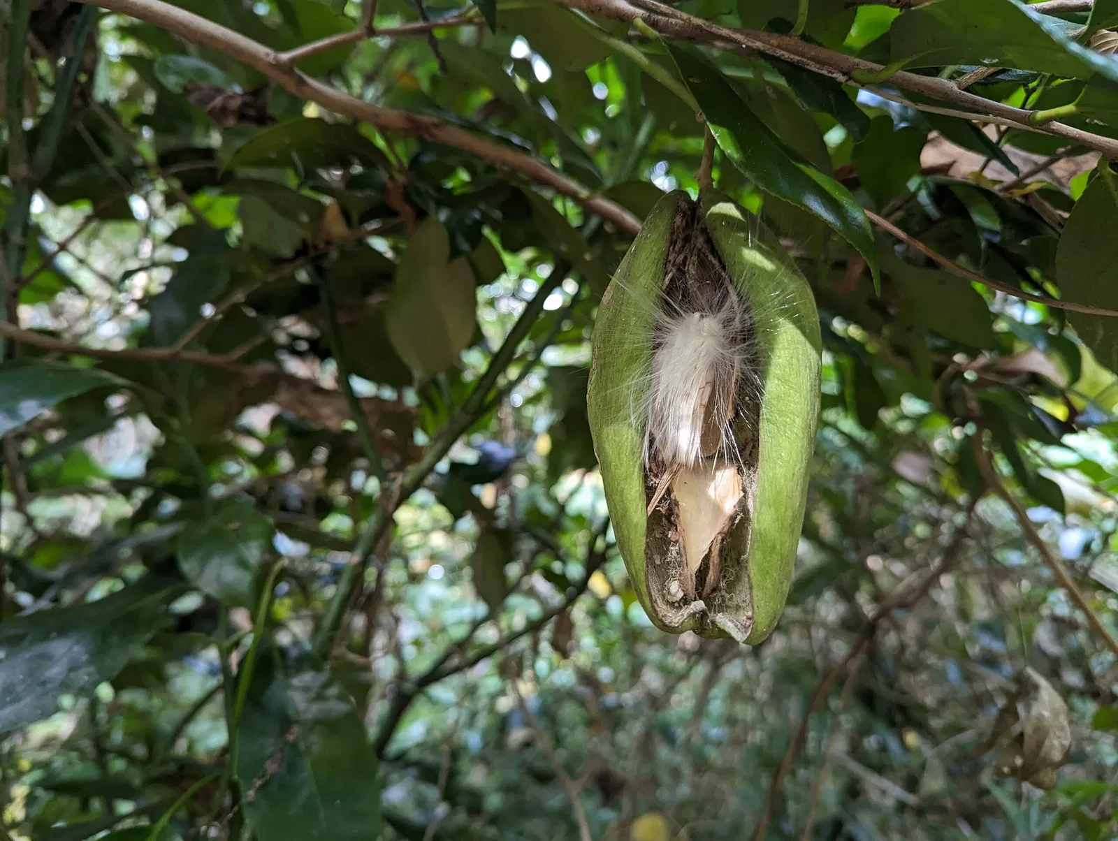 Institute for Nature Study, National Museum of Nature and Science