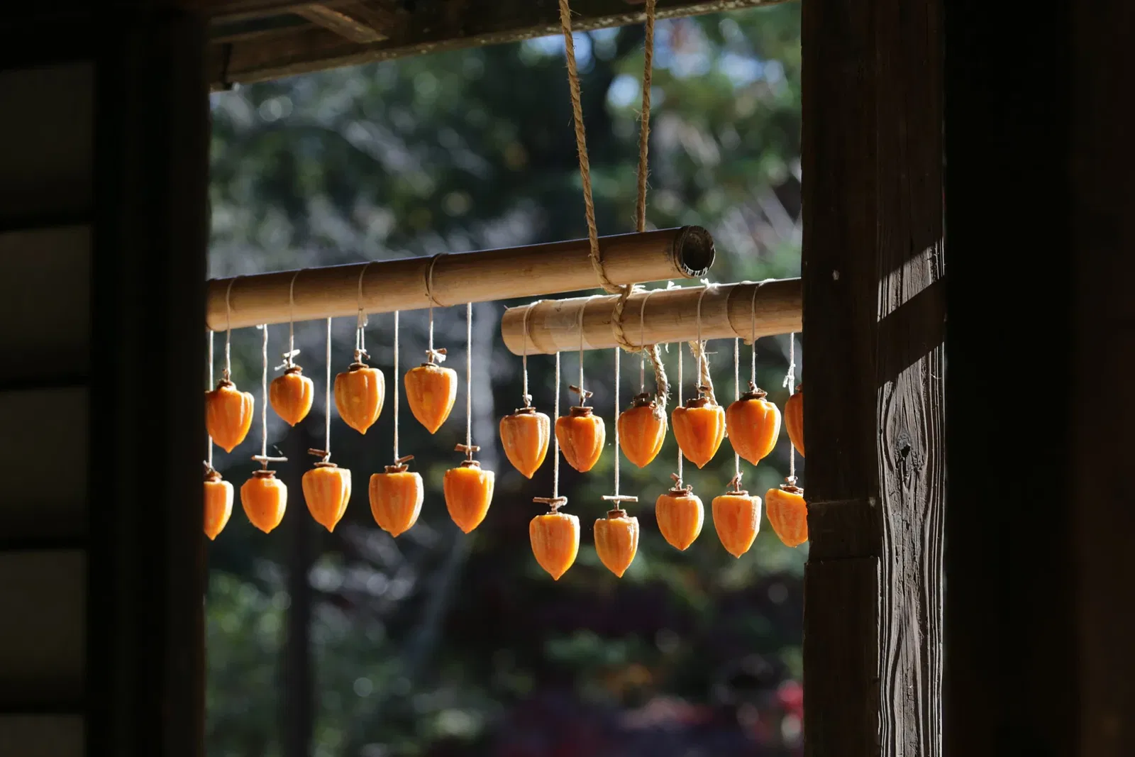 Nihon Minka-en Japan Open Air Folk House Museum