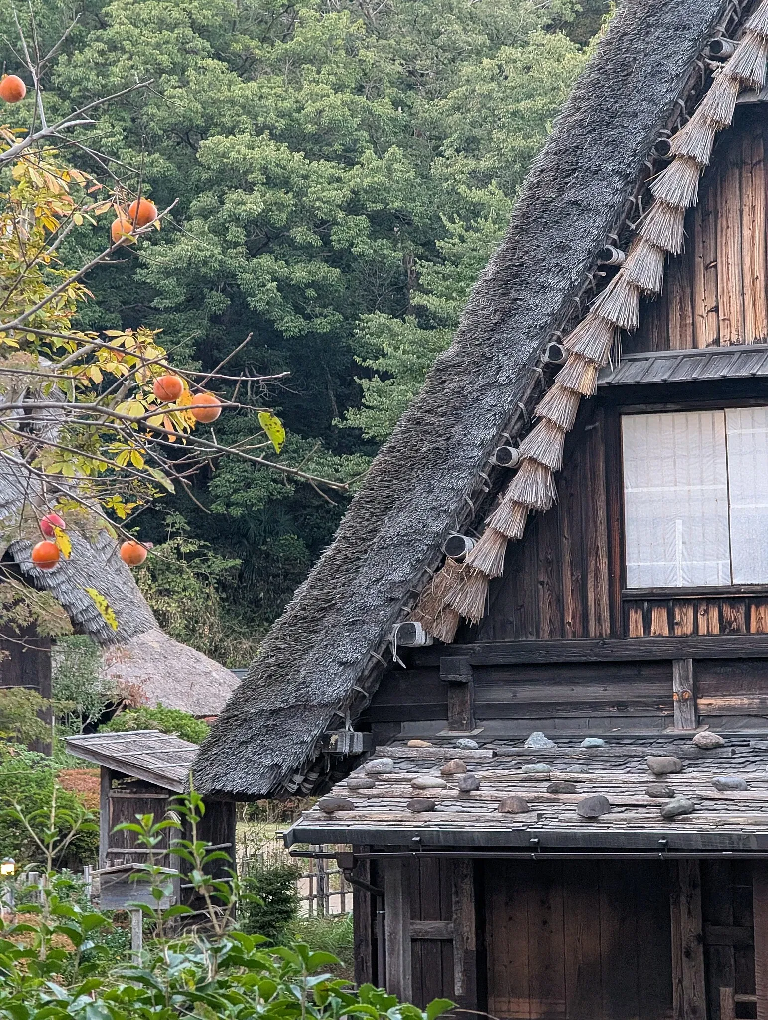 Nihon Minka-en Japan Open Air Folk House Museum