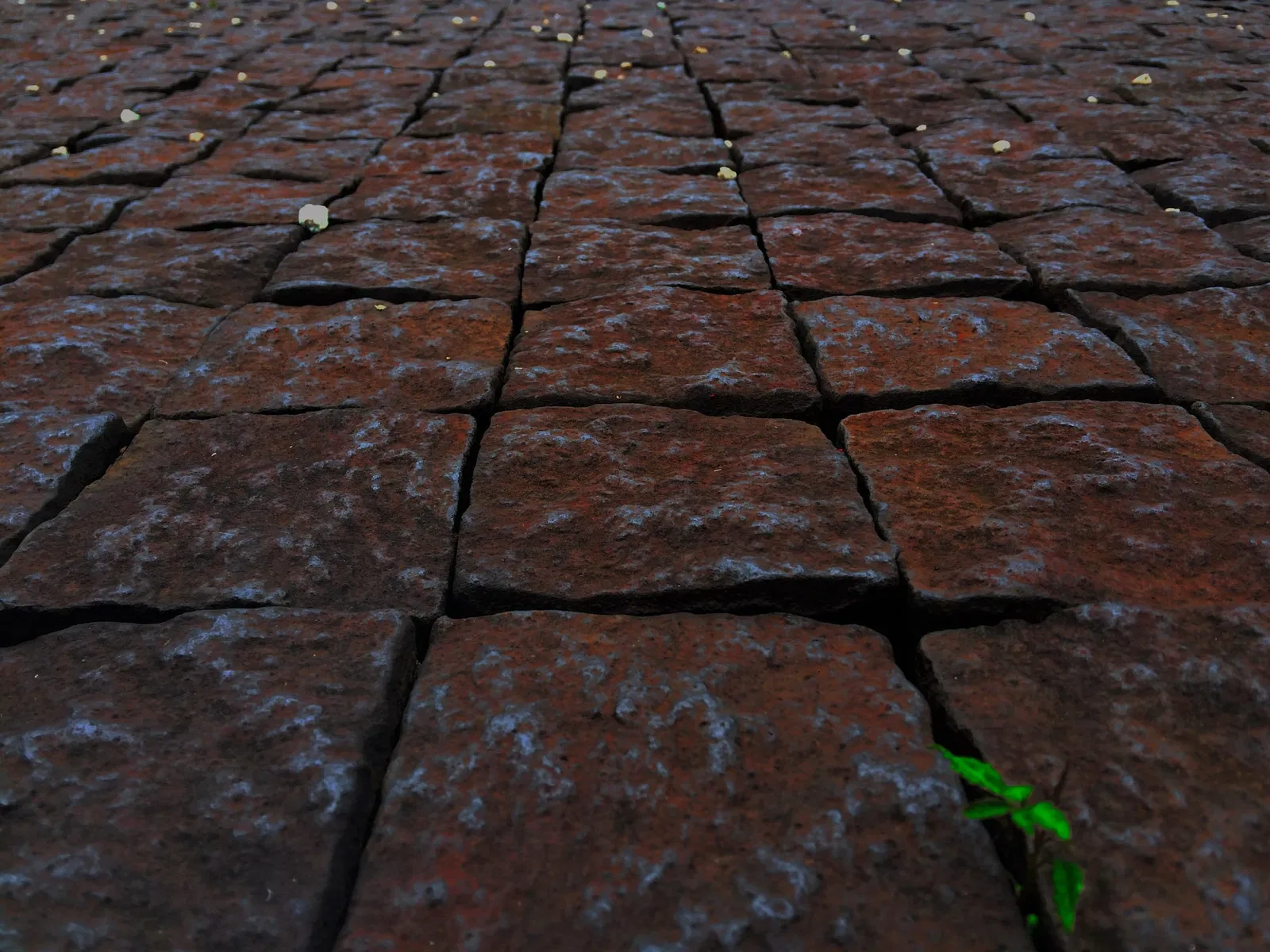 Hiroshima MOCA- Hiroshima City Museum of Contemporary Art