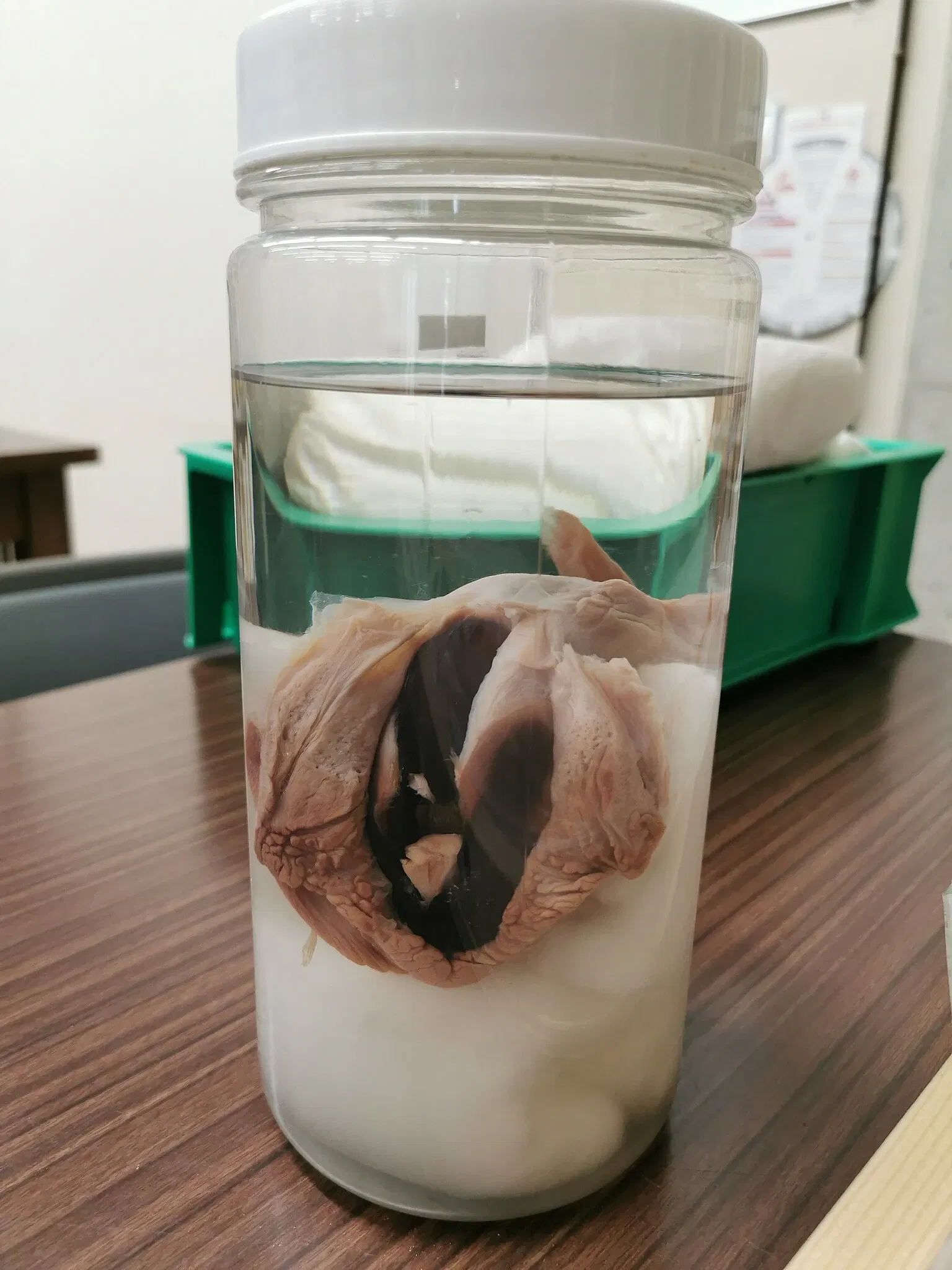 Tottori Prefectural Museum