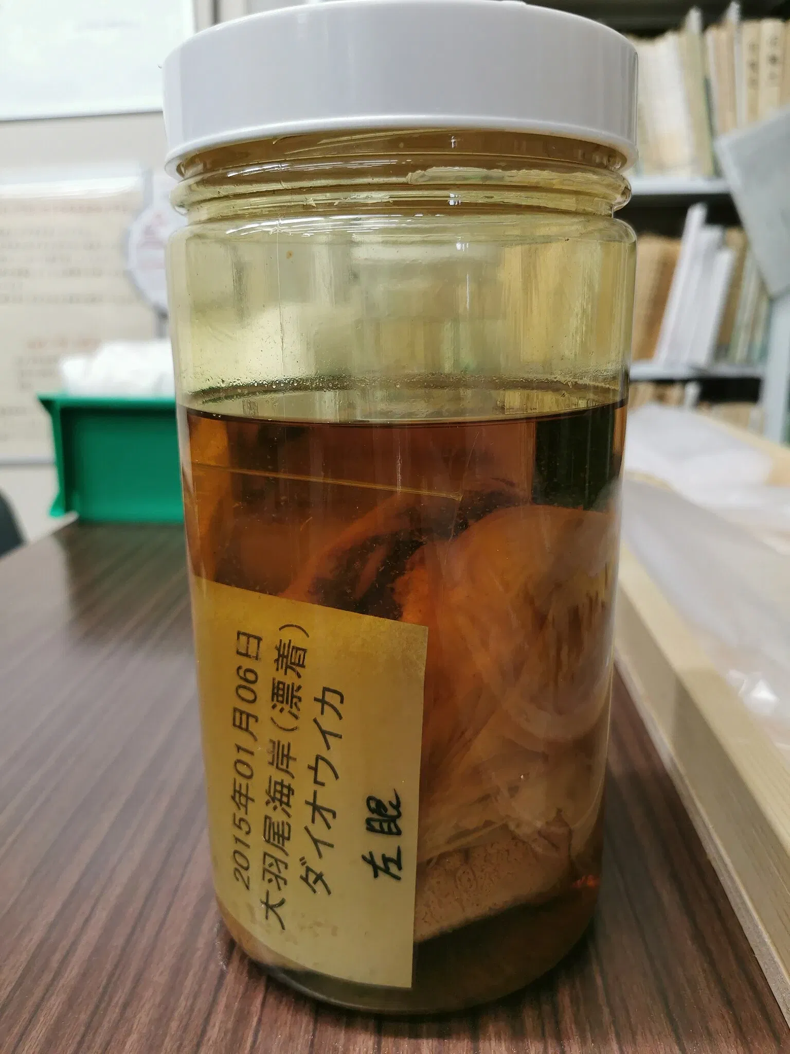 Tottori Prefectural Museum