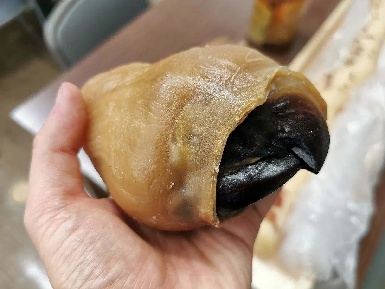 Tottori Prefectural Museum