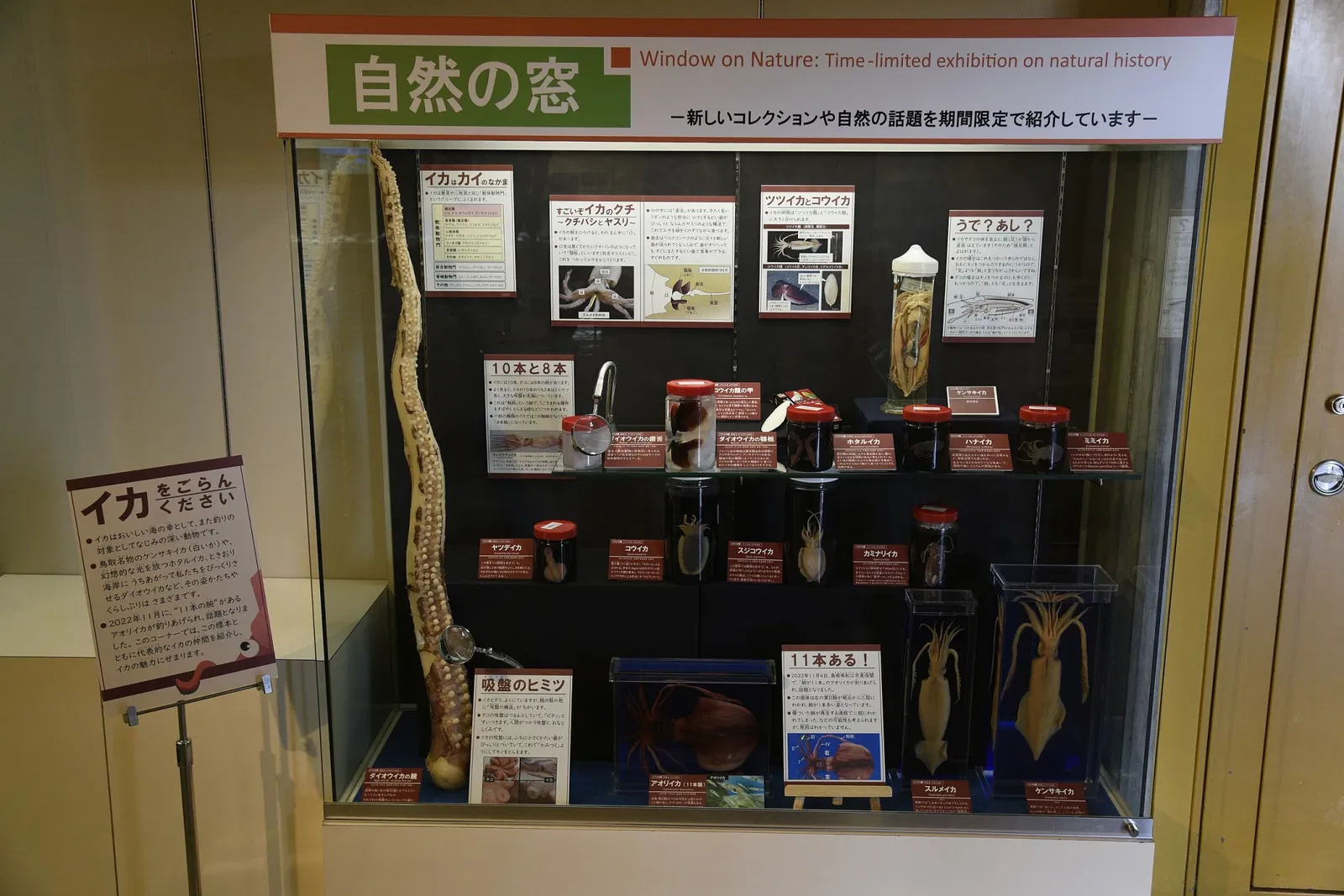 Tottori Prefectural Museum