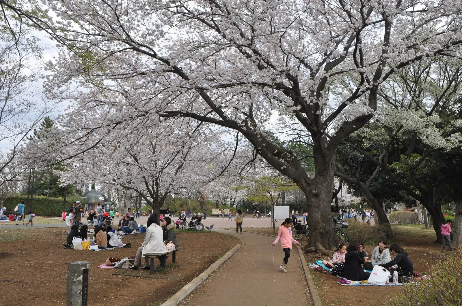 Yumemigasaki Zoological Park