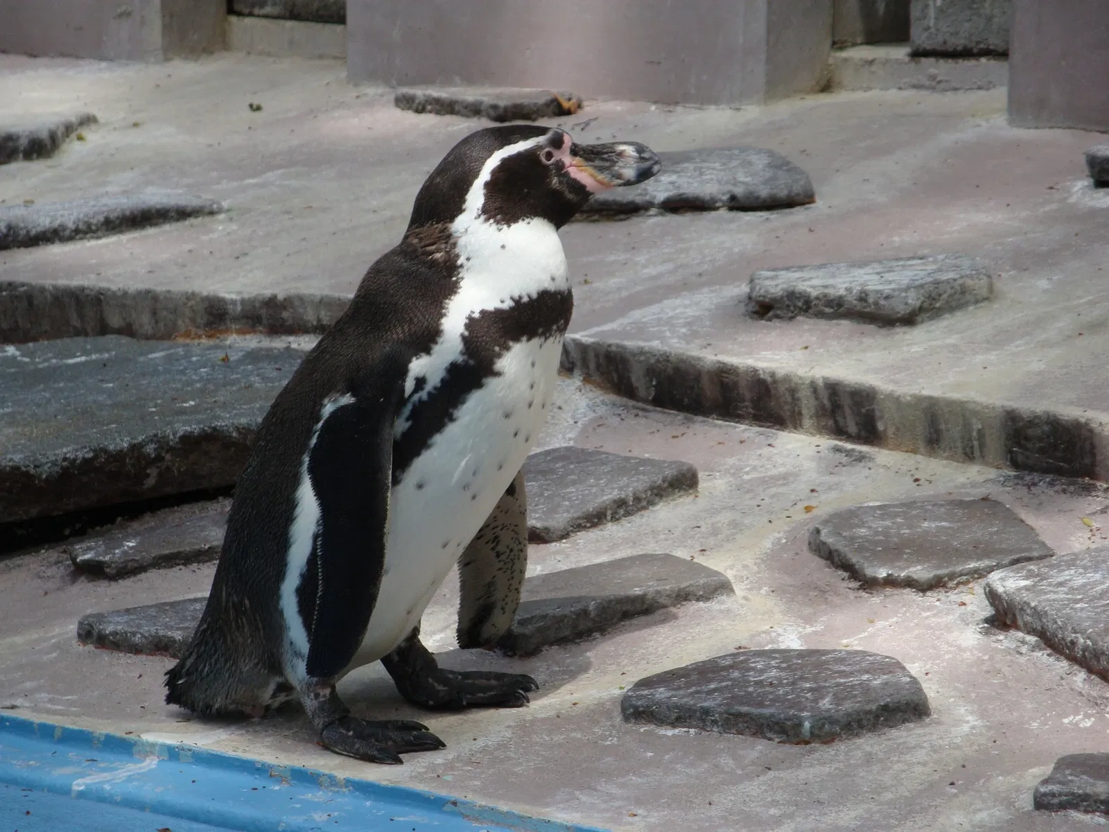 Yumemigasaki Zoological Park