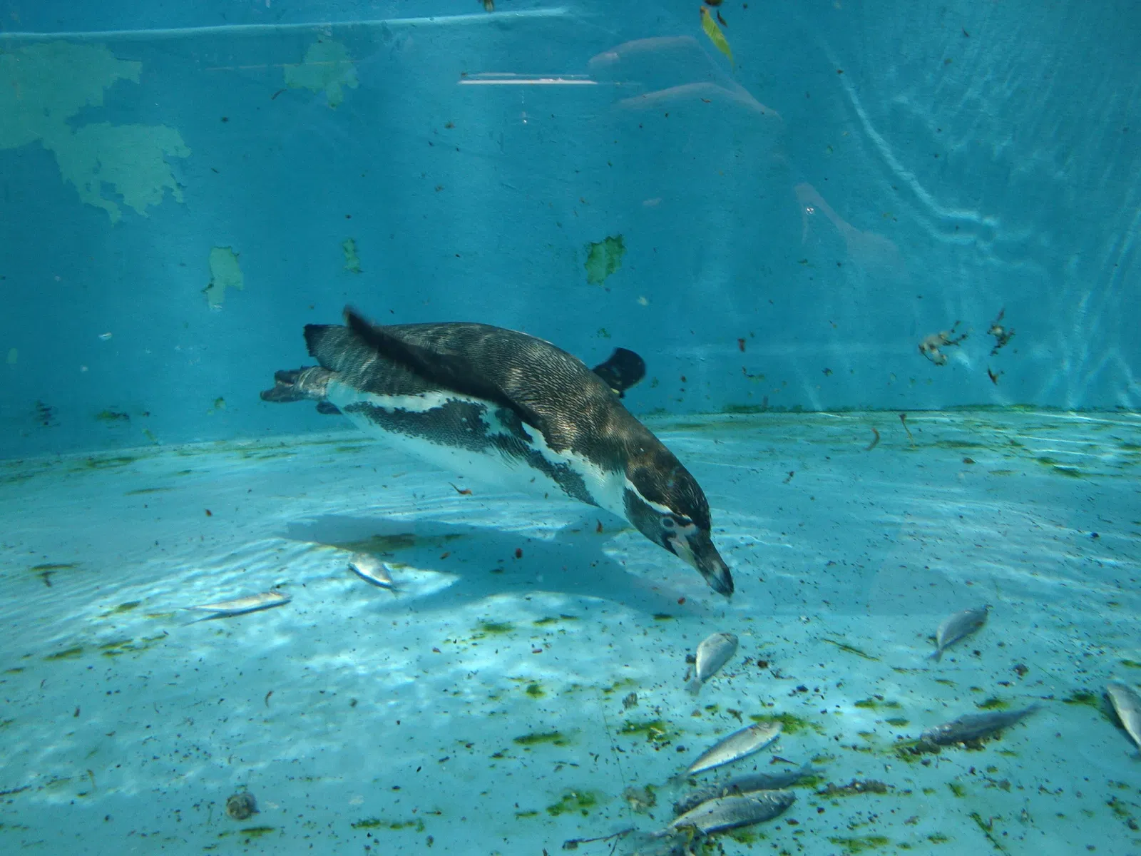 Yumemigasaki Zoological Park