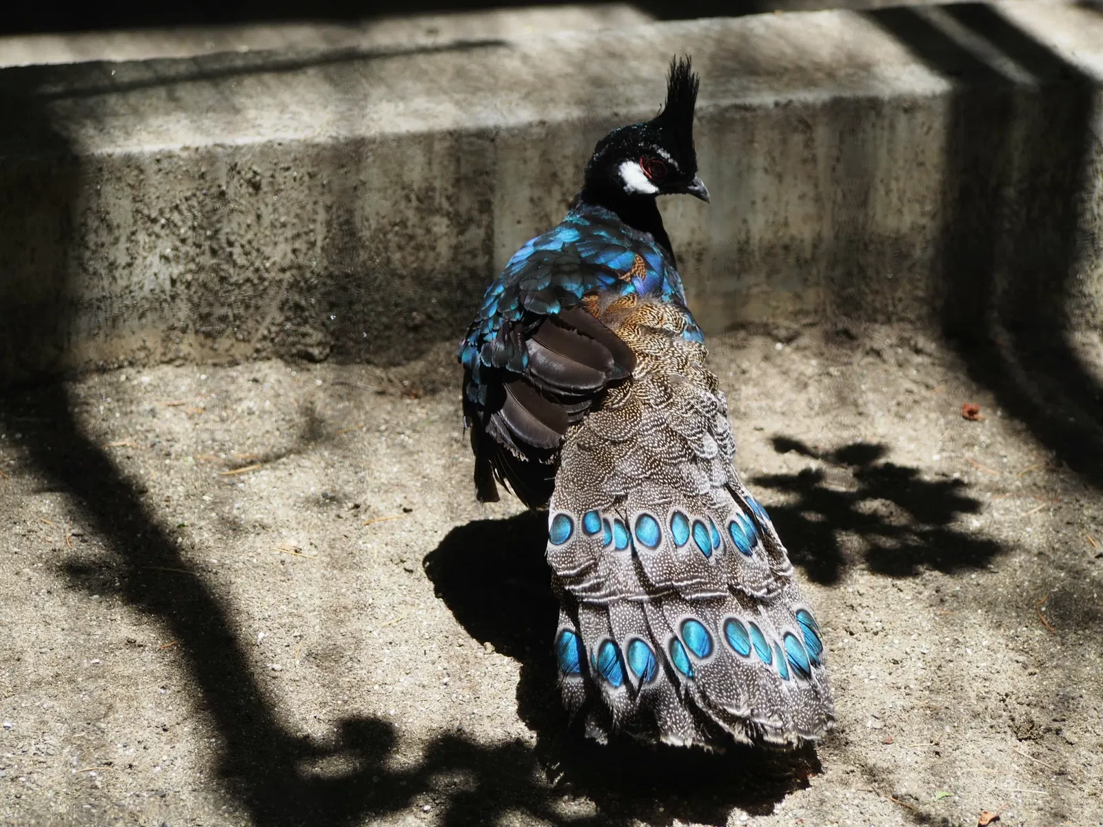 Yumemigasaki Zoological Park