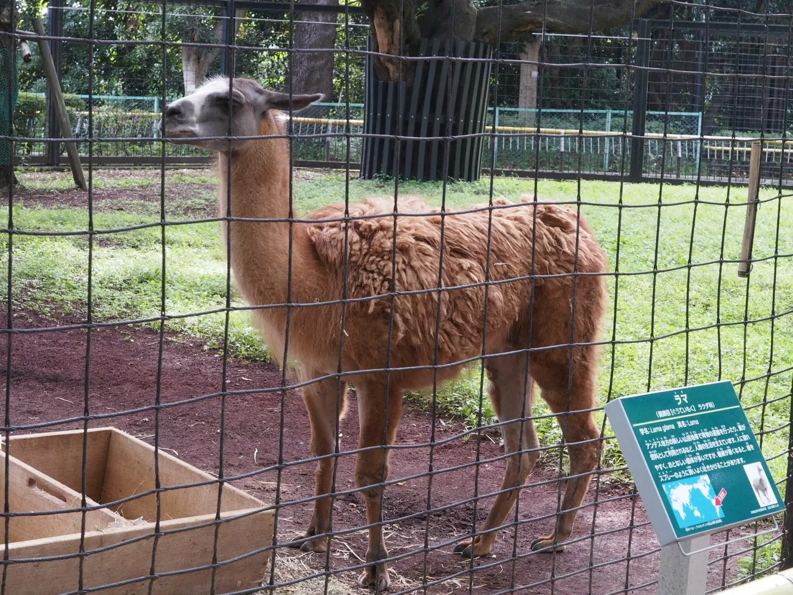 Yumemigasaki Zoological Park