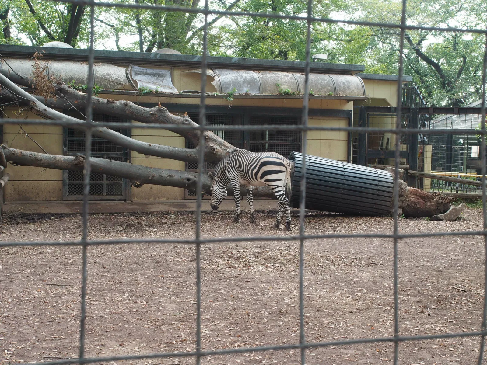 Yumemigasaki Zoological Park