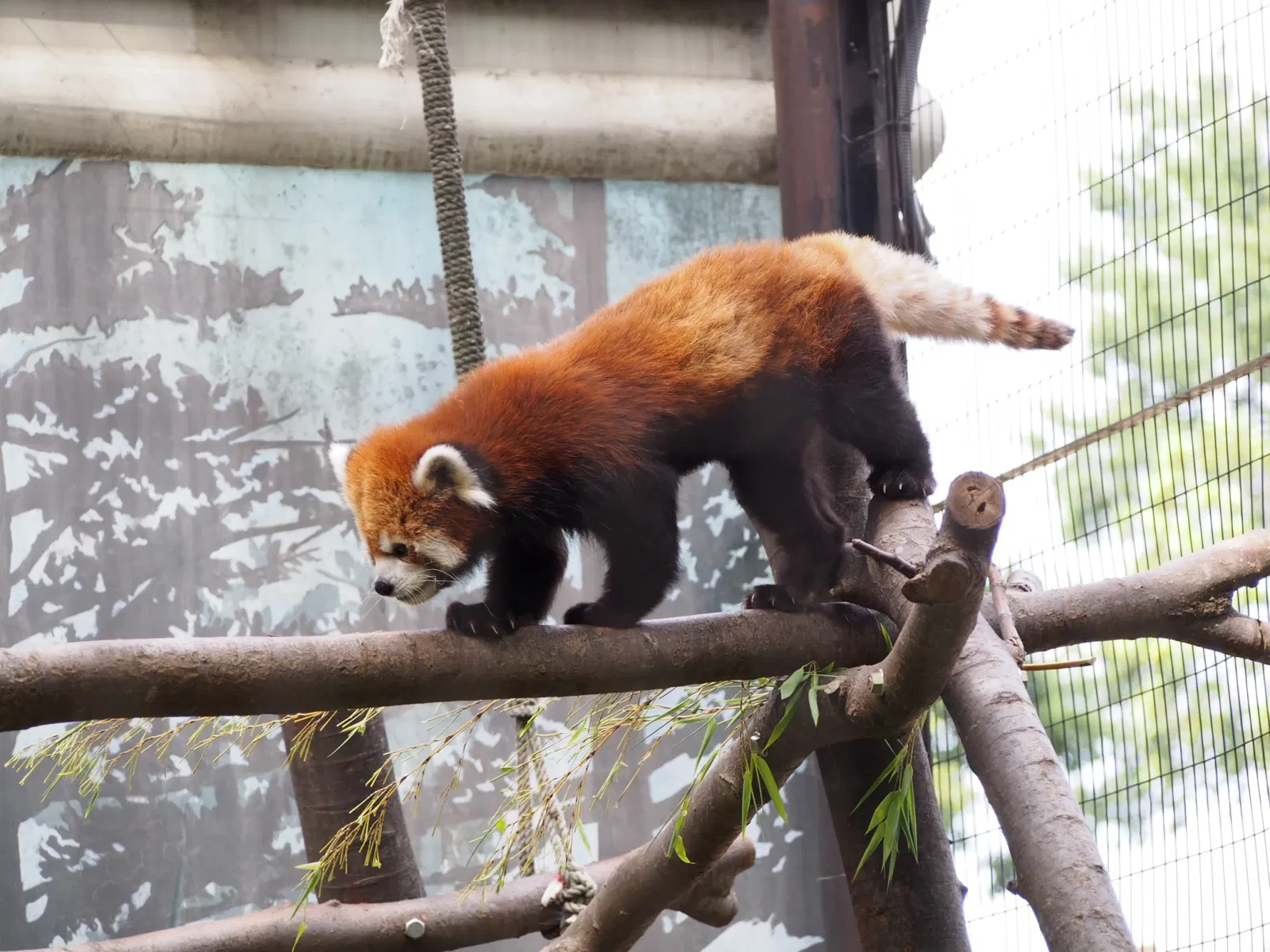 Yumemigasaki Zoological Park